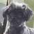 Carole Smythe Whitney's profile image