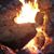 Dawn Huntsman-cuellar's profile image