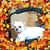 Roberta L Brown's profile image