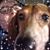 Erin Terrizzi's profile image