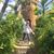 Sonia Anaya's profile image