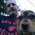David Tapley's profile image
