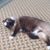Karen Landry's profile image