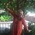 Dawn London Page's profile image