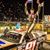 Ty Majeski's profile image