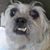 Gomez Reyes Jrjr's profile image
