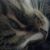 Anastasia Miller's profile image