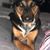 Kayla Hutchins's profile image