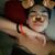 Antonio Lopez's profile image