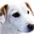 Pamela Lange's profile image