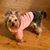 Rachel Patterson Stringer's profile image