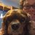 Janice Newman's profile image