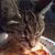 Dawn JG Carlin's profile image