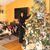 Cesilia Rodriguez's profile image