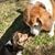 Zoey-Daisy Smith's profile image
