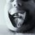 Ian Welling's profile image
