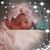 Tammy McBlain Morris's profile image