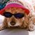 Al Magro's profile image
