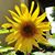 Gracielle Leal's profile image