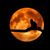 Sharon Diaz's profile image