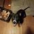 Jerry McBurney's profile image