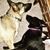 Debbie Lunn's profile image