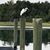 Dee Jaye Femia's profile image