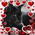 Karen Aden's profile image