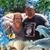 Mike Lehman's profile image