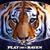 Paula Keefer's profile image