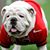 Mike Bboen's profile image