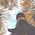 Stevie R Field's profile image
