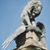 Shekeyah Yehuda's profile image