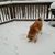 Carolyn Johnson's profile image