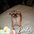 Peggy Jackson's profile image