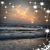 Sherrie Guilbeau- Wilson's profile image