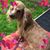 Lou Guarini's profile image