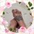 Jennifer Hamilton's profile image