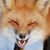 Shellita Bellita's profile image