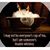 Gloria Aguirre's profile image