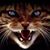 Tracy Brenner's profile image