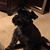 Jody David Holcomb's profile image