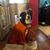 Donna Lewis's profile image