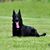 Tommy Huskey's profile image