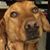Emily Ayers Cravedi's profile image