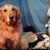 Angie McLamb Trull's profile image