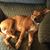 Sheila Moffatt's profile image