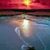 Tammy Luman McNair Hainline's profile image