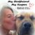 Dee Carlson's profile image