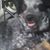 Glenn Bindel's profile image